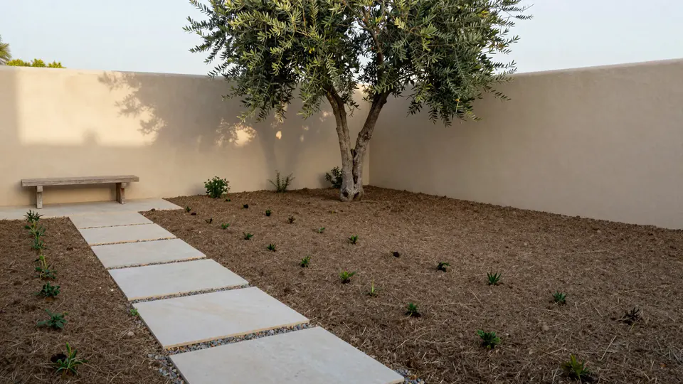 Courtyard, small new plantings.